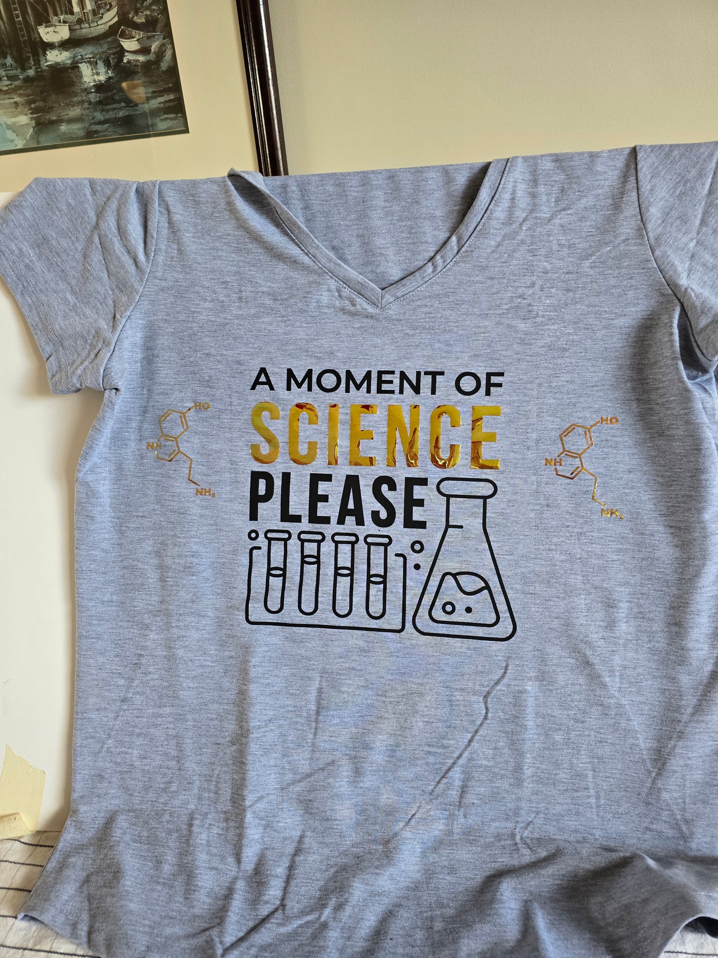 Science T Shirt - A moment of Science 20250413_131521_f890ebc2-503c-43da-89ac-e8f0828dbd23 t shirt Gingerberry Quilts