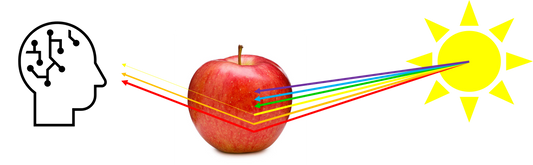 The Science of Colour - The Object.