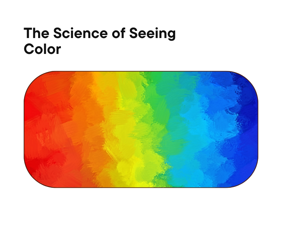 The Science of Colour - How do we see Colour?